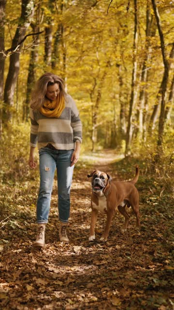 SLO MO Happy Young Woman Walking with Boxer Dog on Dry Leaves Covered Path in Autumn Forest