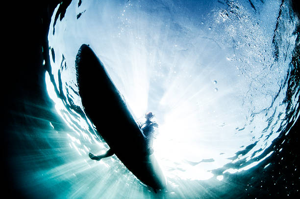 paddle Man sitting on a stand up paddle board from under water  surfboard fin stock pictures, royalty-free photos & images