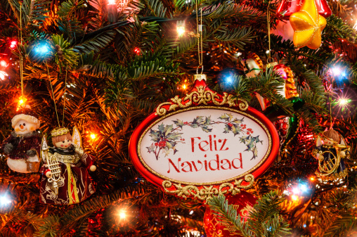 Christmas tree with Feliz Navidad ornament