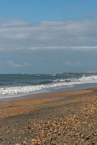 Seashell and sea waves on beach . High quality photo