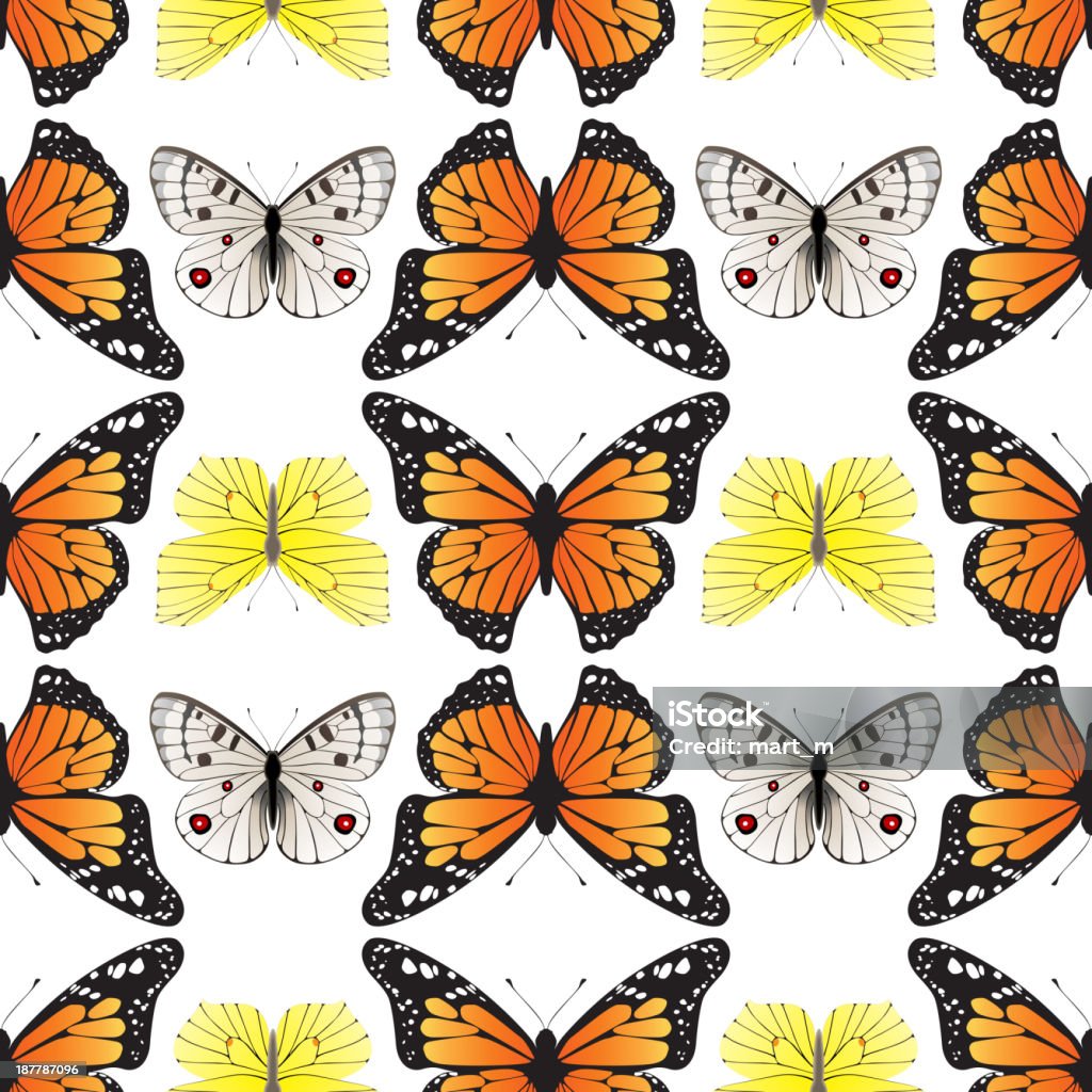 Seamless ornamento di farfalla - arte vettoriale royalty-free di Clima tropicale