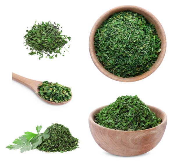 istock Dried parsley isolated and fresh leaf on white, set 1877879867