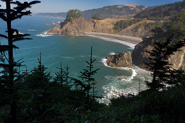istock Oregon coastline near Arch Rock 187789699