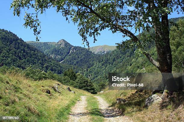 Wormsa Valley In Alsace Stock Photo - Download Image Now - Hiking, Vosges Department - France, Alsace