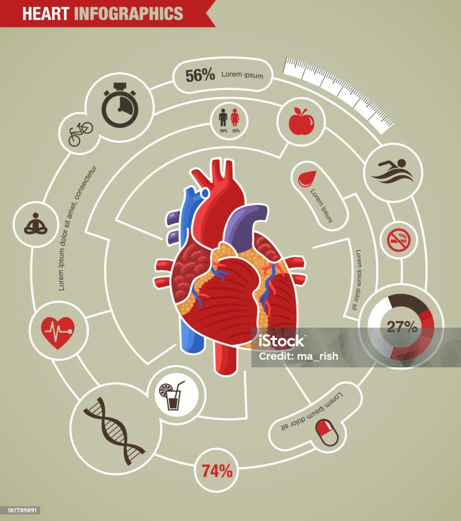 人間の心臓の健康、病気や攻撃インフォグラフィック - イラストレーションのロイヤリティフリーベクトルアート