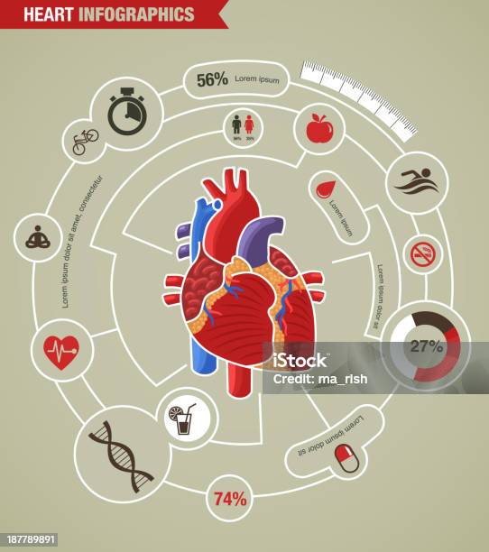 人間の心臓の健康病気や攻撃インフォグラフィック - イラストレーションのベクターアート素材や画像を多数ご用意 - イラストレーション, インフォグラフィック, グラフ