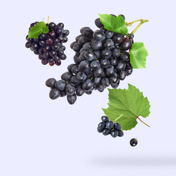 istock Fresh grapes and leaves in air on white background 1877901059