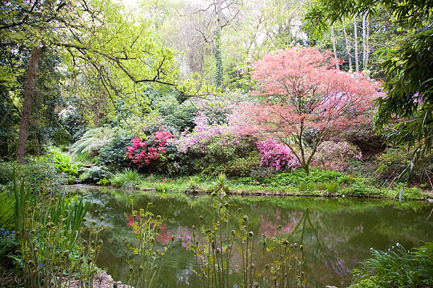 Blooming trees in the nature