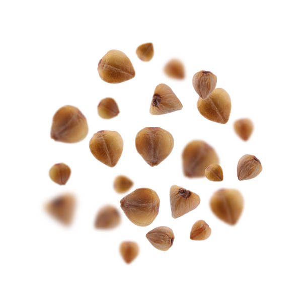 istock Buckwheat flying on white background. Grains in air 1877922757