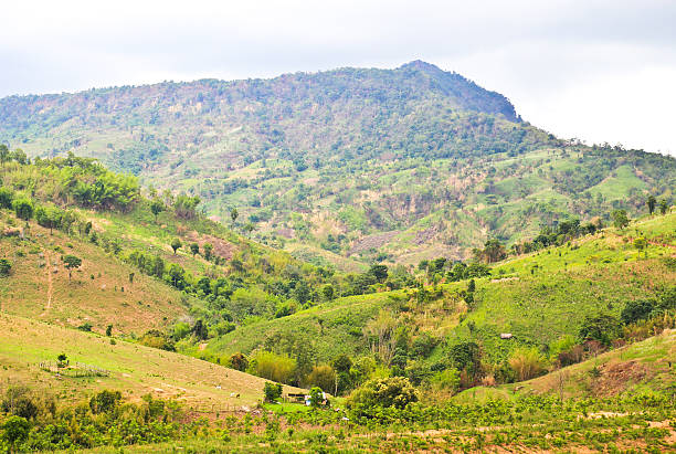 istock Morning Mist at Tropical Mountain Range, Phetchabun,Thailand 187792980