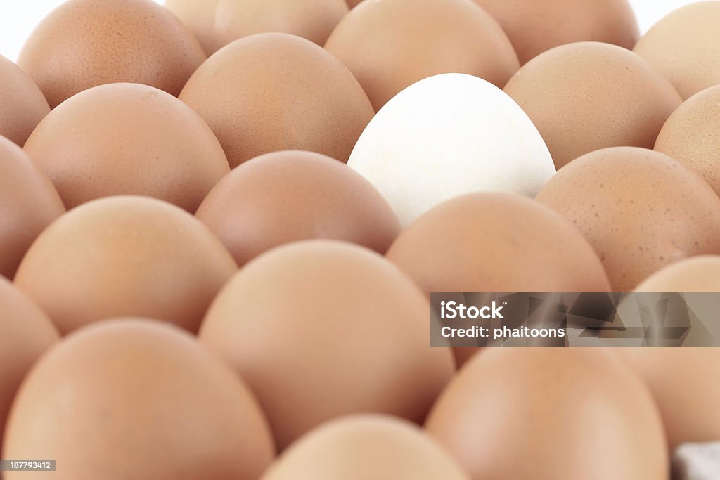 close up Eggs pattern background Abundance Stock Photo