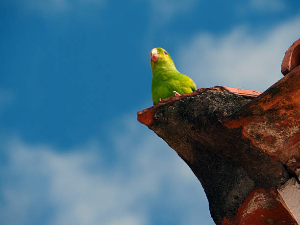 istock Tour the lookout 187794322