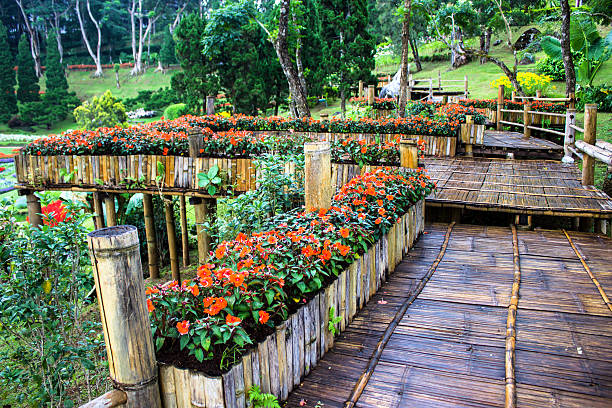 istock Mae Fah Luang Garden 187794977