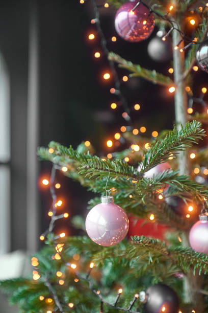 istock Christmas Tree, Happy New Year, sinterklaas 1877952483