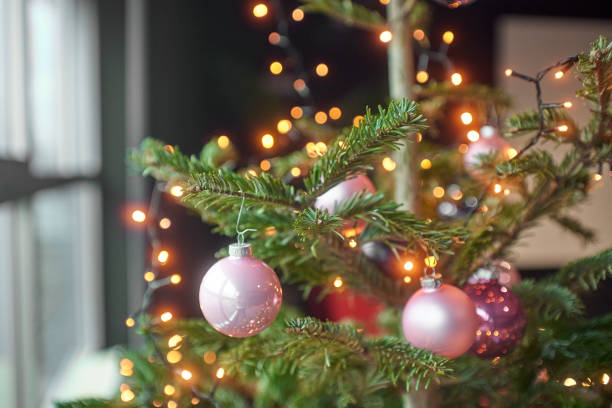 istock Christmas Tree, Happy New Year, sinterklaas 1877956073
