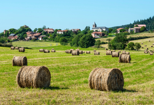 Country landscape in Aveyron, near Saint-Sernin-sur-Rance, France) at summer