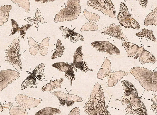 Photo of seamless background from group of butterflies