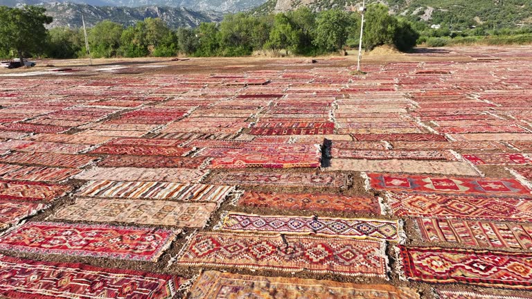 Carpet Field