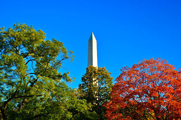 istock Washington monument in Autumn 187800240