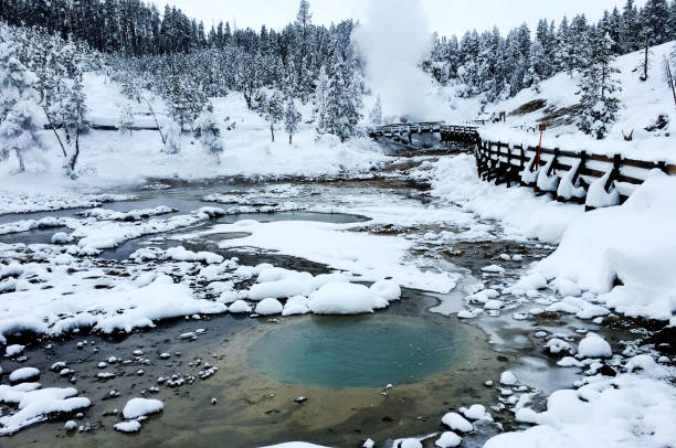 Mud Volcano in Winter in Yellowstone National Park, Wyoming Montana. Northwest. Yellowstone is a winter wonderland. Geothermal Mud Volcano in Winter in Yellowstone National Park, Wyoming Montana. Northwest. Yellowstone is a winter wonderland, to watch the wildlife and natural landscape. Geothermal mud volcano yellowstone stock pictures, royalty-free photos & images
