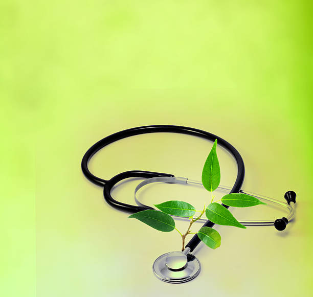 istock Natural medicine stethoscope and plant concept 187800976