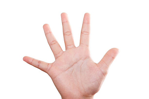 istock Woman hand isolated,  with clipping path. 187801169
