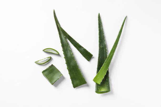 istock Cut aloe vera plant on white background, flat lay 1878012056