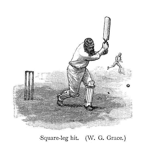 ilustrações de stock, clip art, desenhos animados e ícones de críquete-batsman - sport of cricket cricket player fielder sport