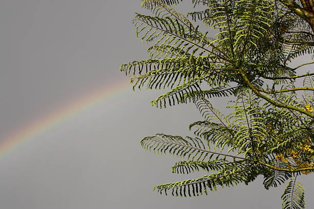 Arco-íris no céu em dia nublado - foto de acervo