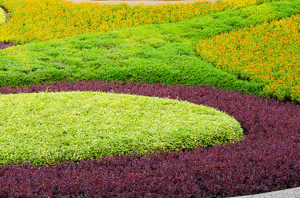 bela árvore de plantas ornamentais paisagem tropical e flor - formal garden tropical climate park plant imagens e fotografias de stock