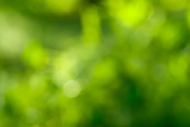 istock abstract green background with natural bokeh 187806226