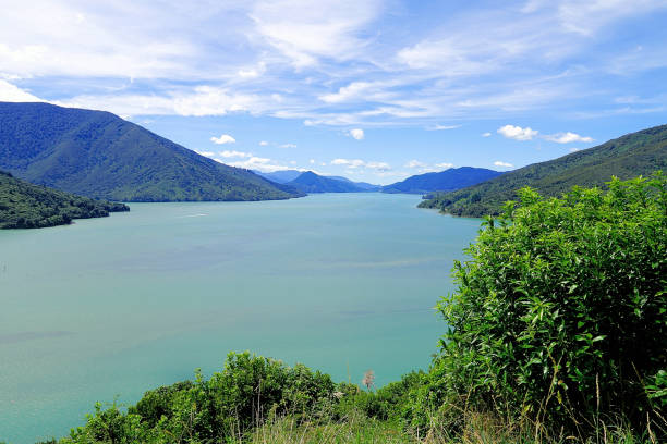 istock New Zealand South Island 1878064478