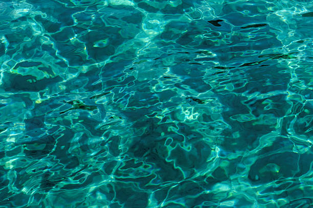 istock turquoise abstract background of wavy water surface 187806492