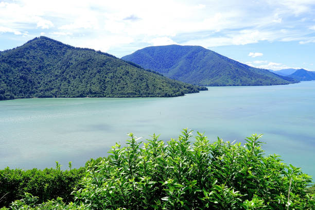 Scene of a Sound captured above the township of Havelock. It is a small town in the Marlborough Region of New Zealand, at the head of Pelorus Sound, one of the Marlborough Sounds, and at the mouth of the Pelorus and Kaituna Rivers State Highway 6 from Nelson to Blenheim passes through the town