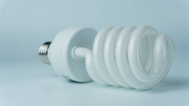 istock Spiral shaped bulb isolated on white background 1878084927