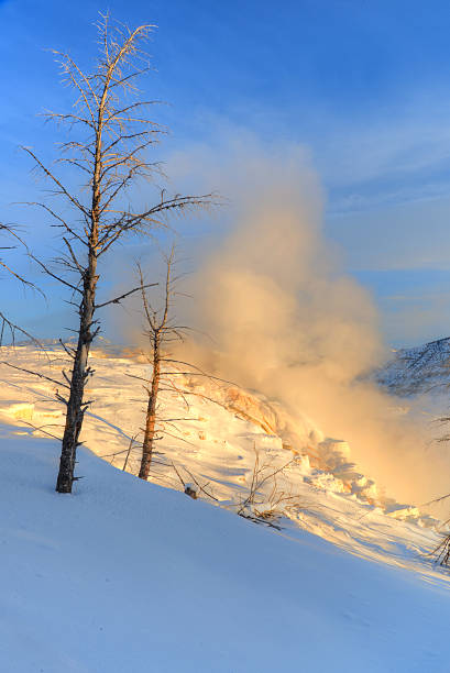 istock Mammoth Hot Springs sunrise 187808801