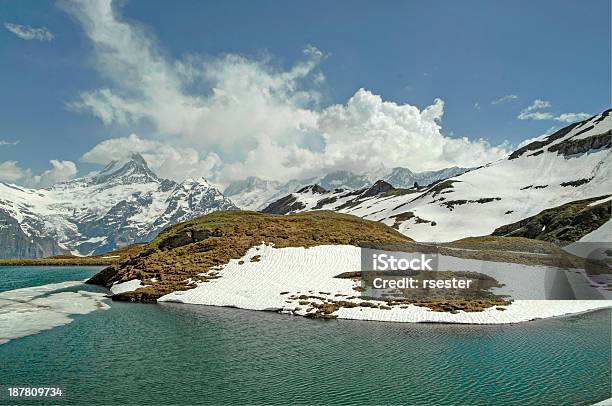 Lago Alpino Na Suíça - Fotografias de stock e mais imagens de Alpes Europeus - Alpes Europeus, Ao Ar Livre, Bernese Oberland