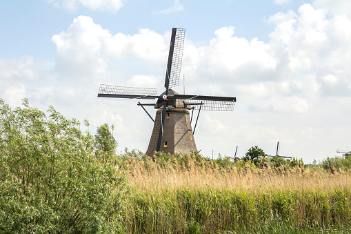 Very Dutch landscape with a curved ditch and a small wooden bridge along a small dyke and a meadow. Location is polder Egmondermeer close to Heiloo, Netherlands. The bridge is called the \