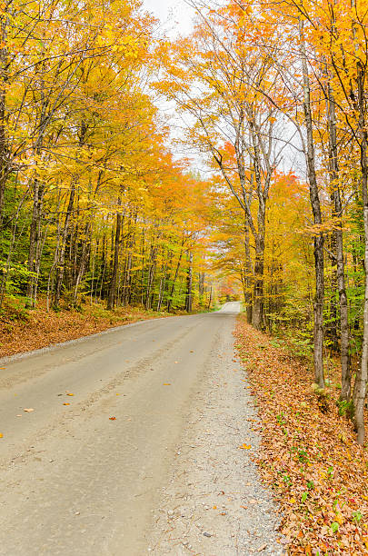istock Dirt Road in an Autumn Forest 187815038