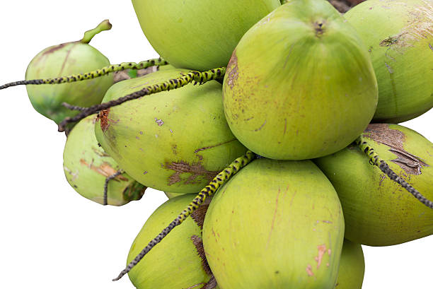 istock Bunch of green coconuts isolated 187817292
