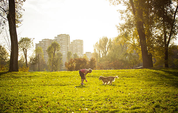 młodych kobiet gra z jej pies - action dog outdoors animal trainer zdjęcia i obrazy z banku zdjęć