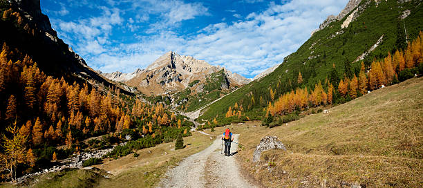 Photo of Panorama - autumn in the alps