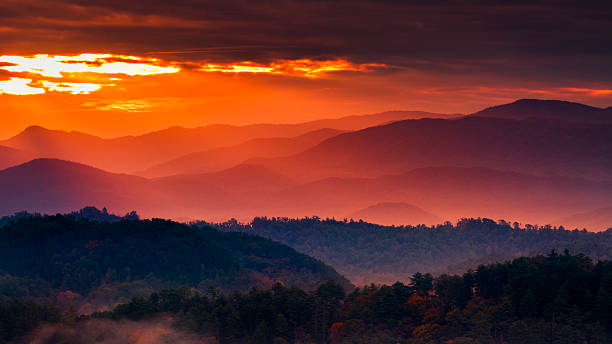 Misty Sunrise in the Smokies Colorful autumn sunrise over the Smoky Mountains great smoky mountains national park photos stock pictures, royalty-free photos & images
