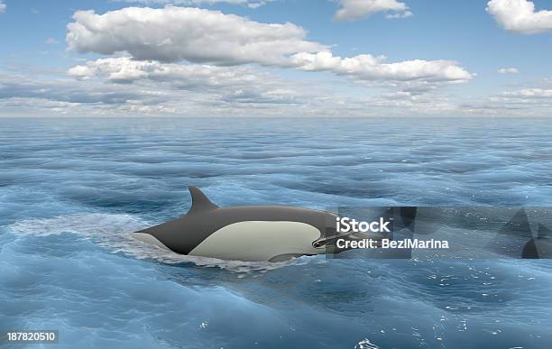 Floating Dolphin Stock Photo - Download Image Now - Above, Animal, Animal Body