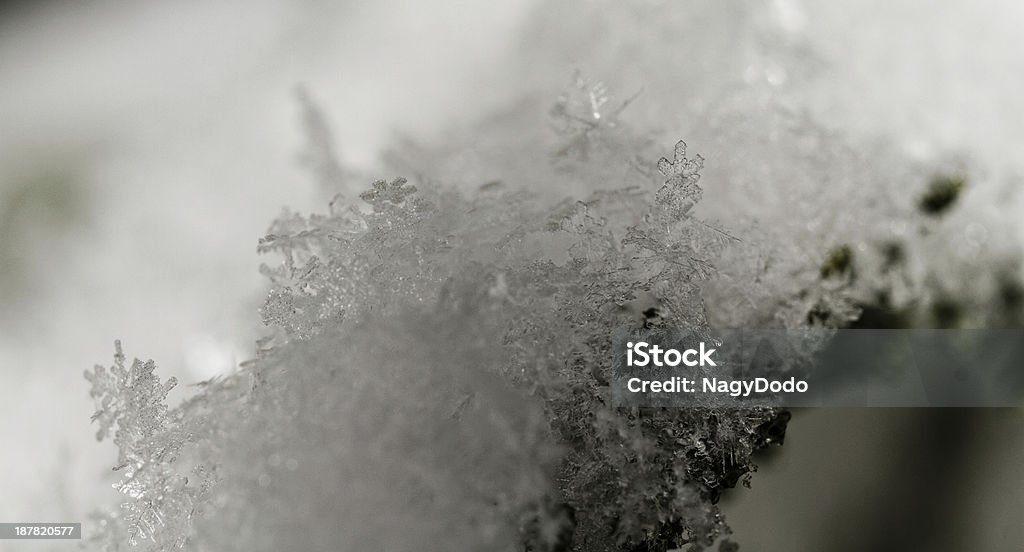 Cristaux beauté blanc de flocons de neige - Photo de Abstrait libre de droits