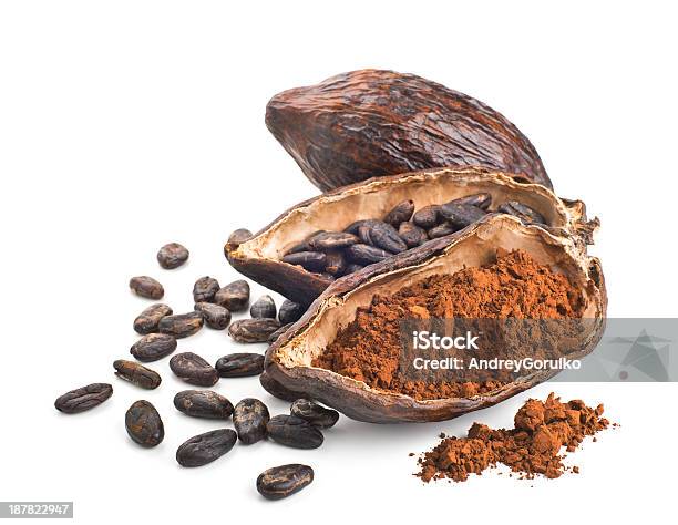 Cocoa Pod Beans And Powder Isolated On A White Stock Photo - Download Image Now - Cocoa Powder, Cacao Fruit, Cocoa Bean