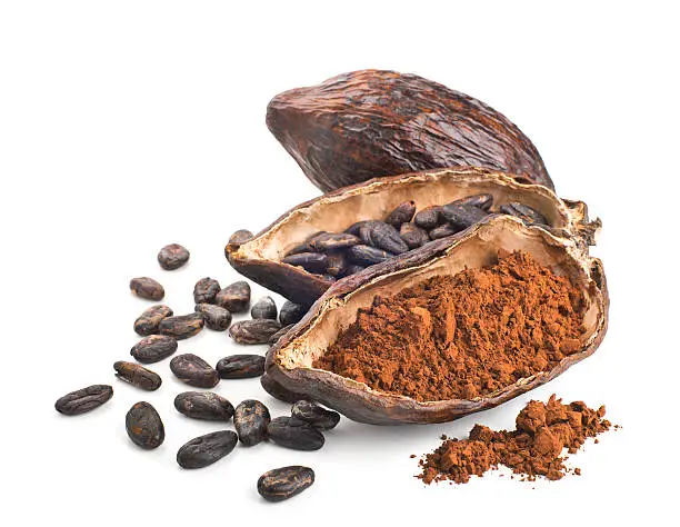 Cocoa pod, beans and powder isolated on a white background