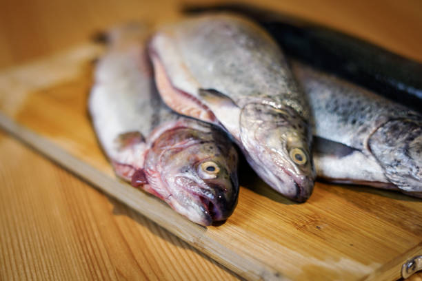 Fish and ingredients for cooking