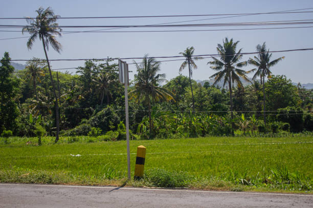 istock There is one road divider near the rice fields with a sign 1878314031