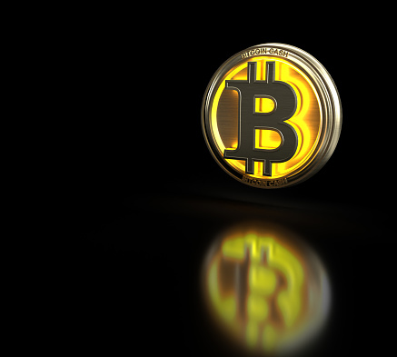 Bitcoin Digital Currency Logo